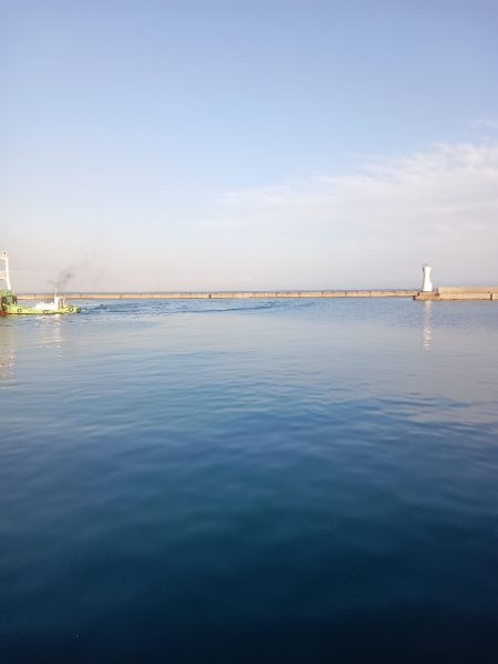 連続釣行、小アジの、型