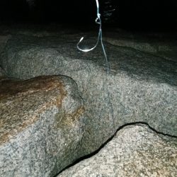 夜間釣行大アナゴ