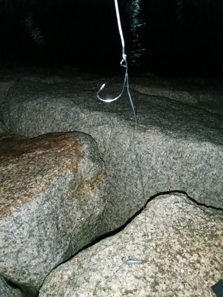 夜間釣行大アナゴ