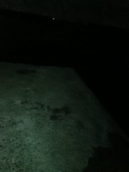 淡路◇アナゴ調査