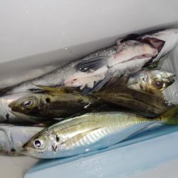 下り坂転がり中