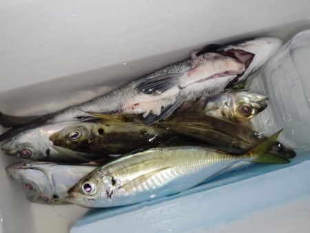 下り坂転がり中