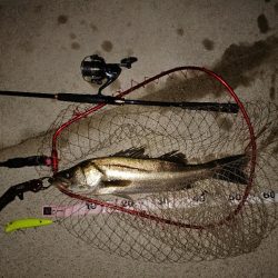 イナッコパターン攻略！