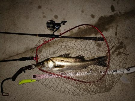 イナッコパターン攻略！