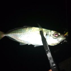 フロートゲーム~