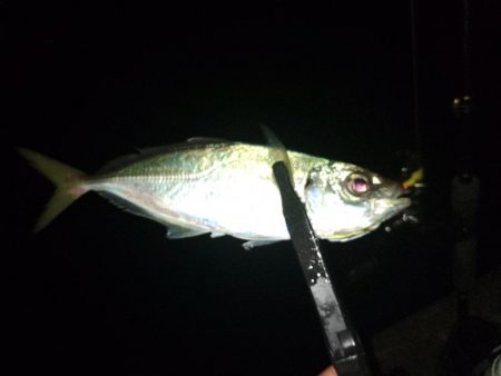 フロートゲーム~