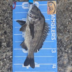 昼からのんびりふかせ釣り🎣