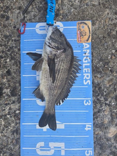 昼からのんびりふかせ釣り🎣