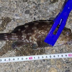 サイズチョイUp