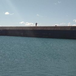 根魚とイカ狙い@串本