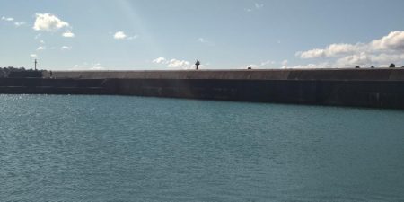 根魚とイカ狙い@串本