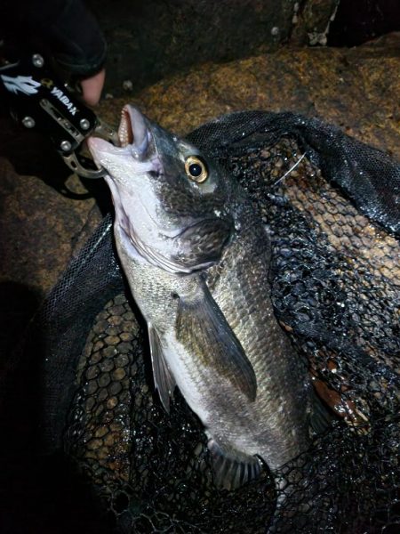 仕事終わりにサクッとチニング