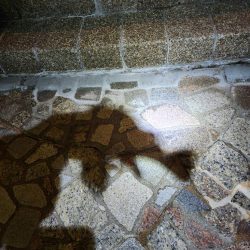 広島市内近場ライトゲーム