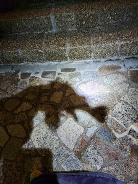 広島市内近場ライトゲーム