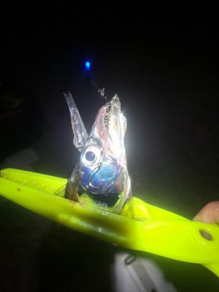 久しぶりに3連発