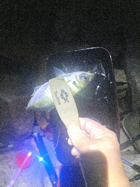 雨でも魚影濃いカゴ釣り