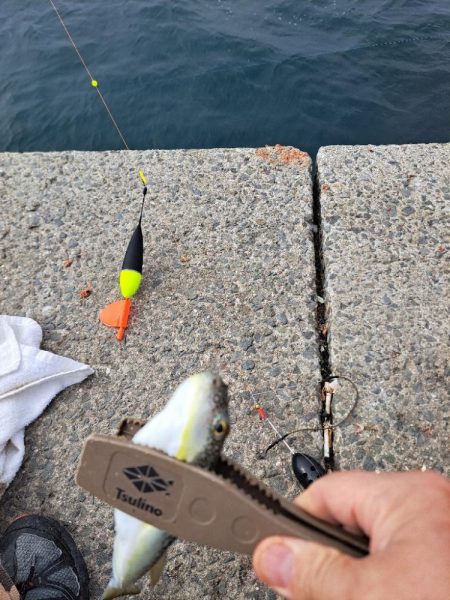 忍耐のカゴ釣り