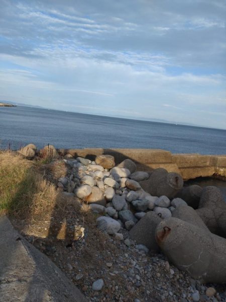 アオリイカ3杯!