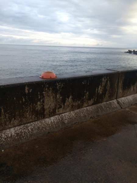 水橋でエギング！アオリ2杯