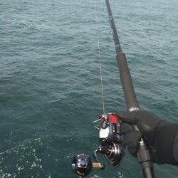 ロックショアデイゲーム