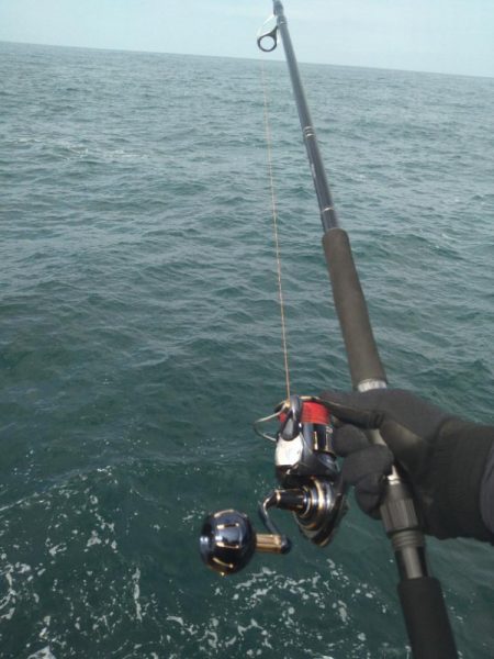 ロックショアデイゲーム