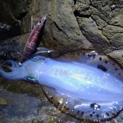 高活性エギング