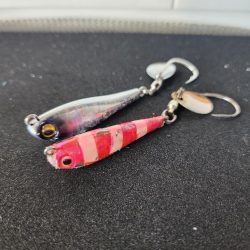 シルエット小さめ