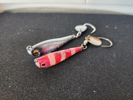 シルエット小さめ