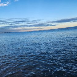 久々カッター(>_<)