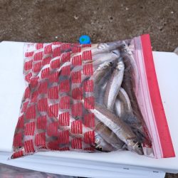 落ちキスが最高