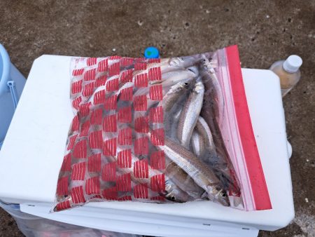 落ちキスが最高