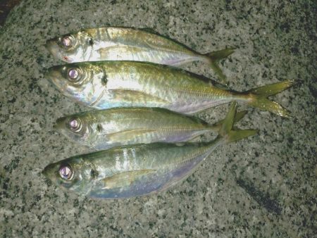 2日連続フロートアジング