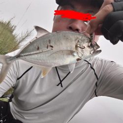 チヌとメッキが釣れました!