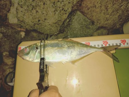 久しぶりのフロートアジング🎣…