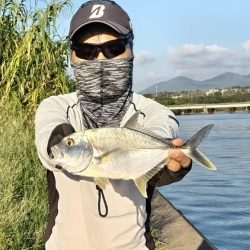 マゴチとメッキ釣れました!