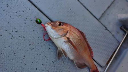 今季初のライトジギング