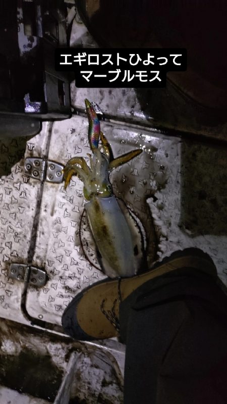 サイズアップティップラン