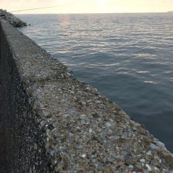 ベイトの湧く量が……