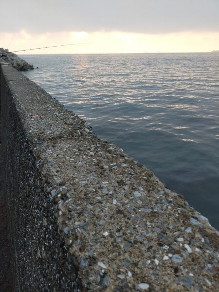 ベイトの湧く量が……