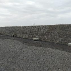 平日も満員御礼