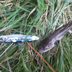 台風22号と23号のはざまで