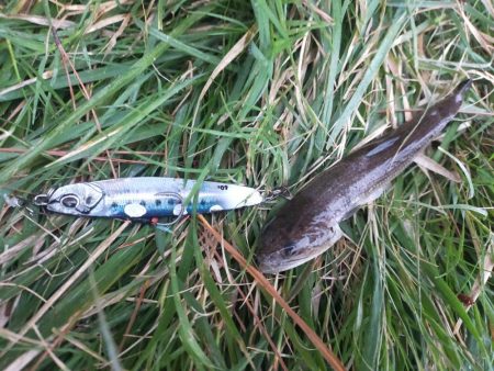 台風22号と23号のはざまで