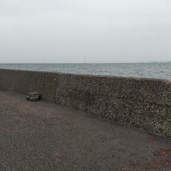 雨でも釣り人集まってます