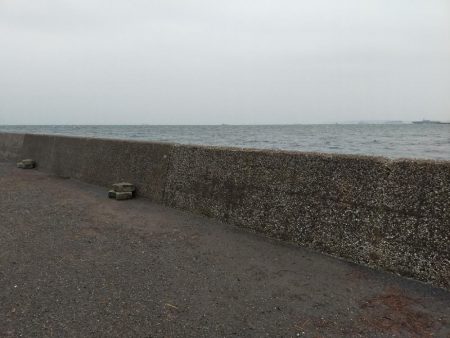 雨でも釣り人集まってます