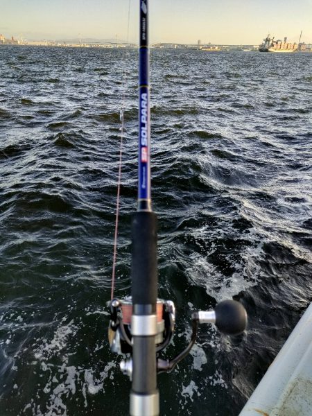 今シーズン陸っぱり初サゴシ