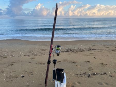 今季はなかなか来ない新松原海岸での投げ釣りです