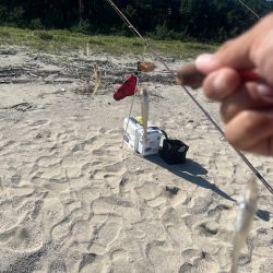 唐津の浜に行ってみました