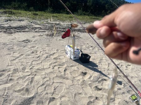 唐津の浜に行ってみました