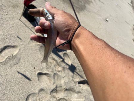 今日も唐津の浜で投げてみました