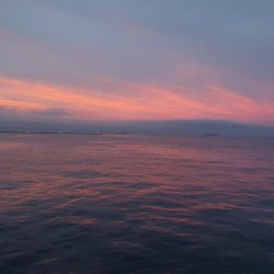 フカセ釣りで強烈な引き！